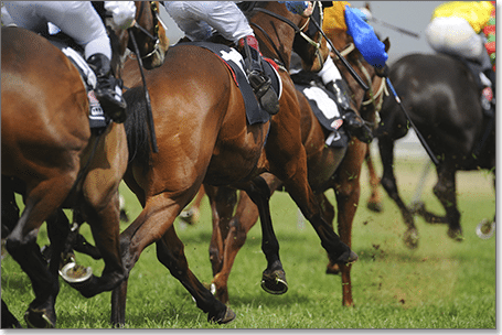 Australian gambling on horses