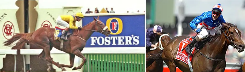 1993 Melbourne Cup winner Vintage Crop and Makybe Diva Vintage Crop and Makybe Diva