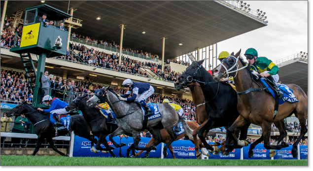 Cox Plate