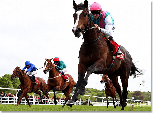 Snow Sky betting Caulfield Cup