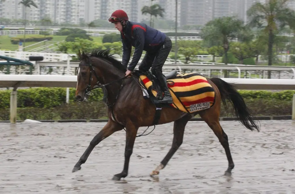 Highland Reel