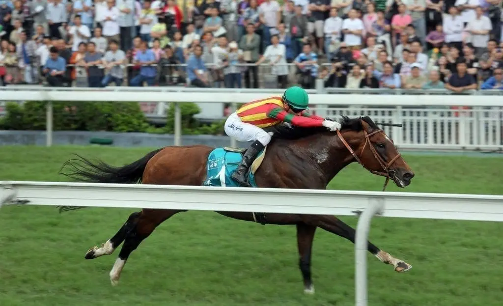 Maurice wins the Champions Mile at at Hong Kong easily, beating out a quality field at Sha Tin.