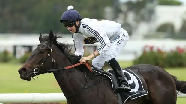Yankee Rose