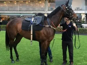 Date set for Winx’s return to the track Winx