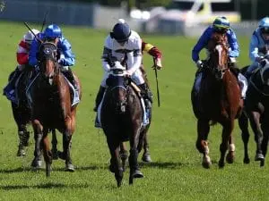 Yankee Rose headlines Spring Champ entries