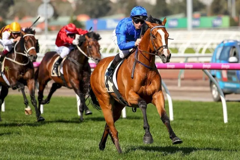 Godolphin star Hartnell is one of five contenders for Victorian Horse of the Year