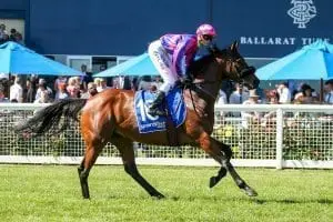 Pilote D’Essai Pilote D’Essai wins Ballarat Cup