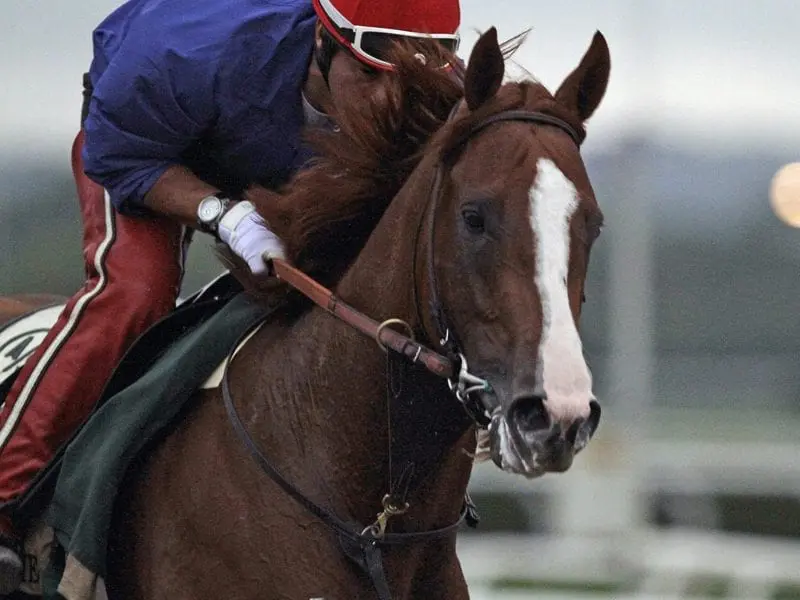 California Chrome