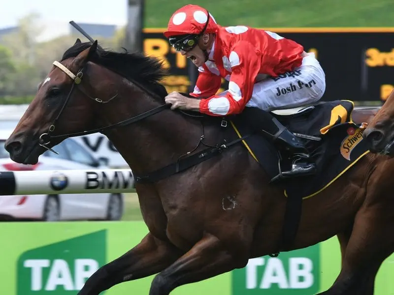 Trainer Gerald Ryan will saddle Snitzel's son Chauffeur in the $2 million Classic at the Gold Coast. Two-year-old colt Chauffeur