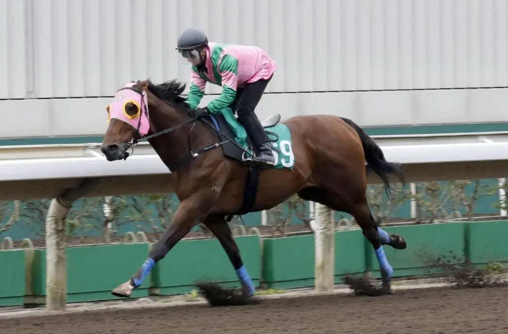 Aerovelocity Sha Tin