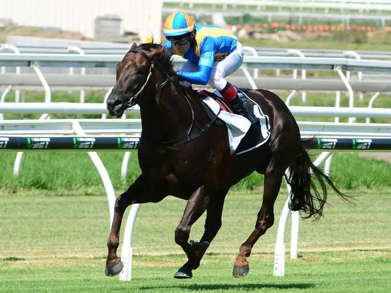 Jockey Jeff Lloyd is confident Winning Rupert will run a strong 1400 metres in the Magic Millions. Winning Rupert winning the group three