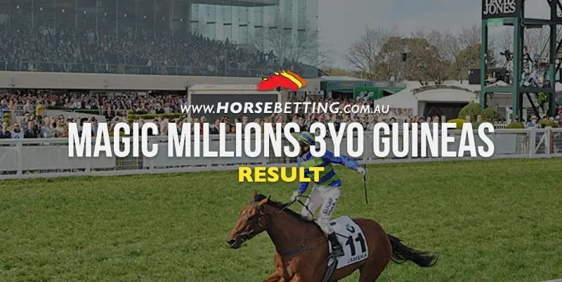 Magic Millions 3YO Magic Millions 3YO