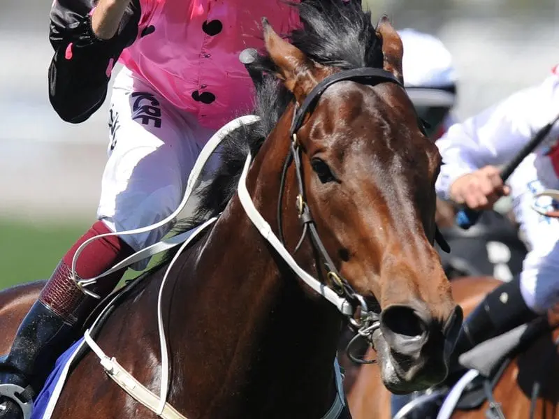 Hugh Bowman with Flying Artie