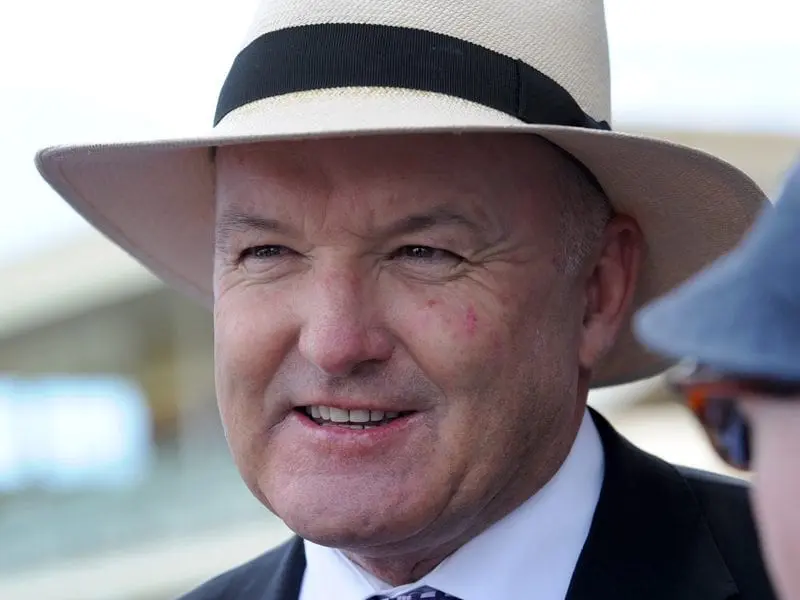 David Hayes is banking on improved fitness levels for He's Our Rokkii ahead of the Futurity Stakes. Trainer David Hayes