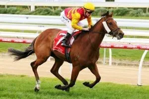 Bendigo Guineas return for Mandalay Bay Bendigo Guineas return for Mandalay Bay