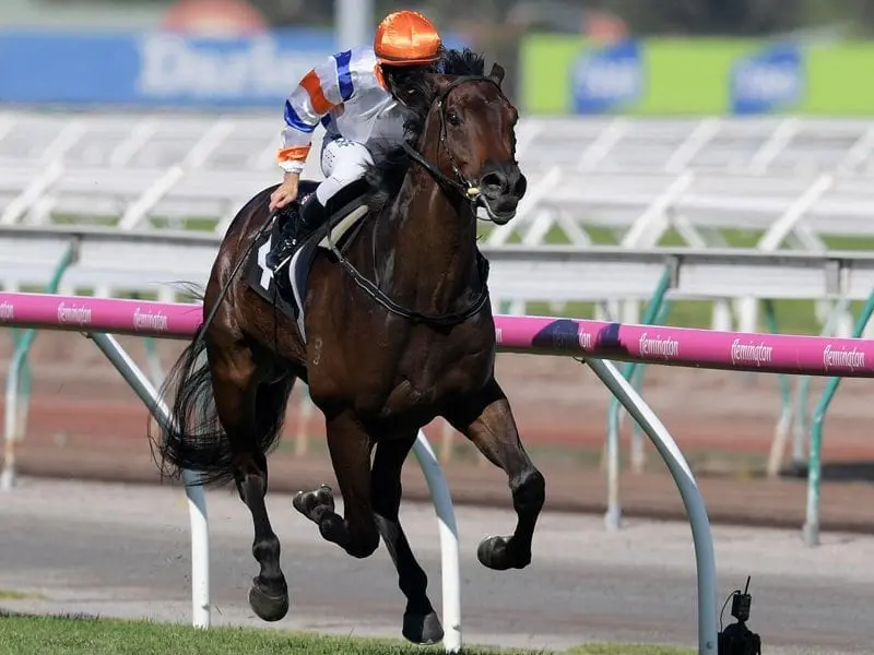 Trainer Tony McEvoy is hoping the rain stays away as Hey Doc chases a second Group One win. Hey Doc ridden by Luke Currie