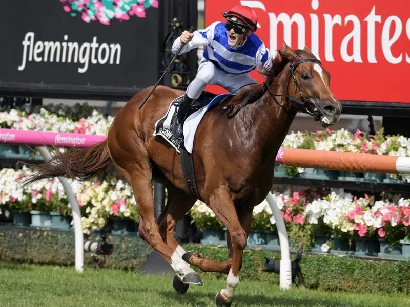 He's taken a circuitous route to the Doncaster Mile but Redkirk Warrior is set to go the distance. Redkirk Warrior