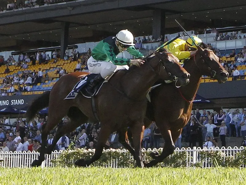 Trainer Andrew Noblet has decided to run Silent Sedition in the Group One William Reid Stakes. Silent Sedition