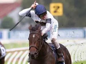 Portelli and Melham back with Rebel Dane Portelli and Melham back with Rebel Dane