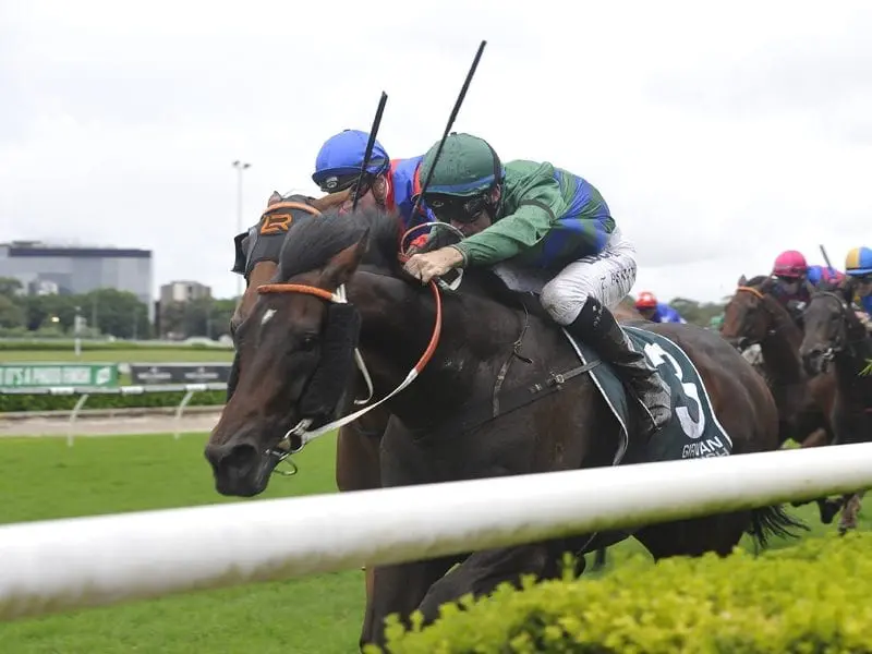 Inference winning the Group One Randwick Guineas