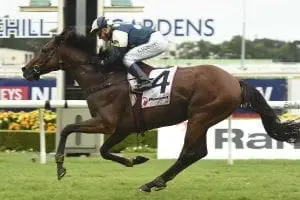 560190.jpg Our Ivanhowe