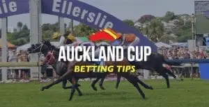2017 Auckland Cup