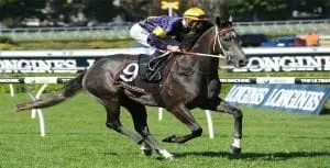 Chautauqua Chautauqua