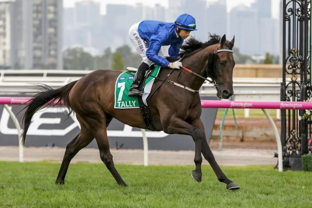 Tally Mornington Cup