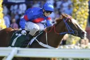 355009.jpg Vinery Stud Stakes 2016
