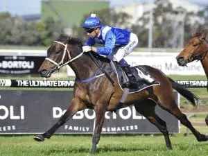 vdfvfgfh 800x600.jpg Midget McCreery to slay Doncaster giants
