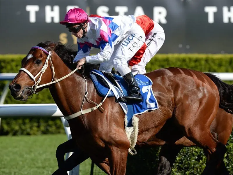 Famous Seamus' trainer says he still has plenty to give in the All Aged Stakes. Famous Seamus
