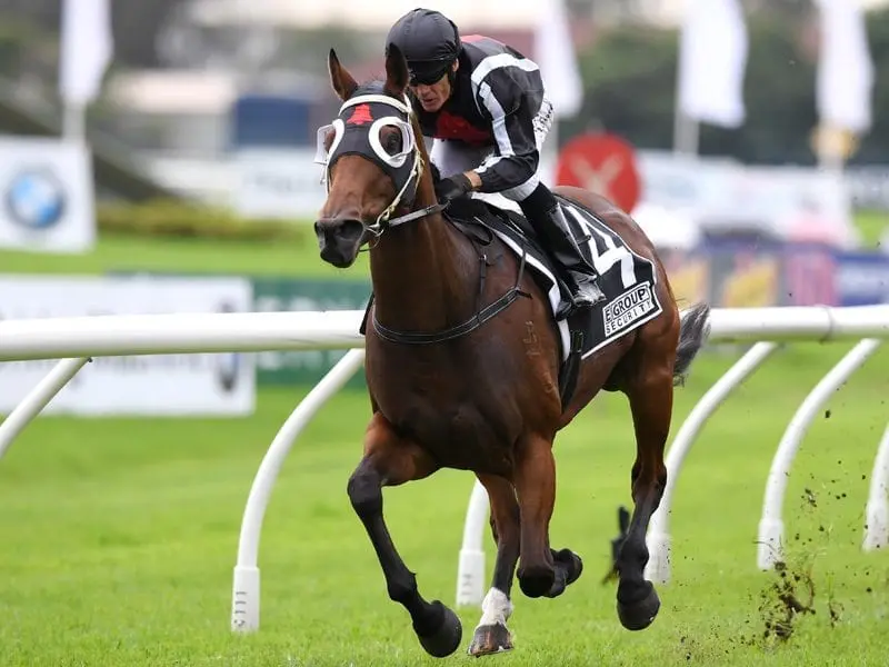 Wet track specialist Jungle Edge will target a Group One triumph in the All Aged Stakes at Randwick. Jockey Kevin Forrester riding Jungle Edge