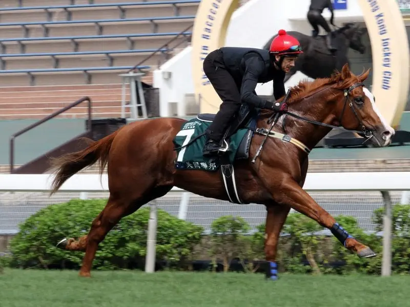 Jockey Brett Prebble says The United States has given him a 'great feel' ahead of the QEII Cup. The United States