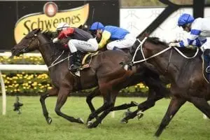 English Sam Clipperton English