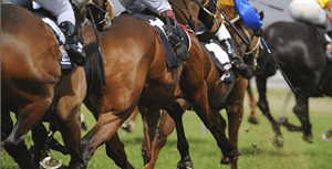 Horse racing Horse racing