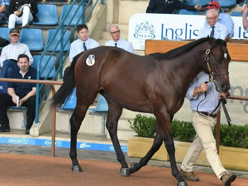 The second session of the Easter Yearling Sale in Sydney has continued. A $2.4 million colt by Medaglia D'Oro