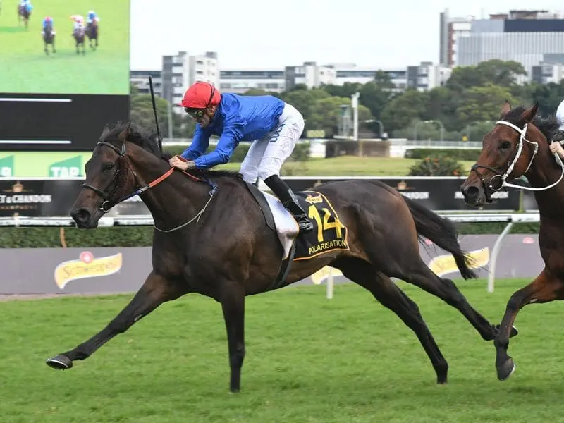 English visitor Polarisation has won the re-run of the Sydney Cup at Randwick. English horse Polarisation