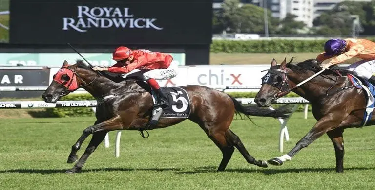 Redzel Redzel