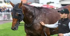 Hayes-Dabernig stayer Boom Time 2017 Sydney Cup Boom Time & Harlem