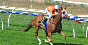 Burning Front Burning Front wins at Wangaratta feature
