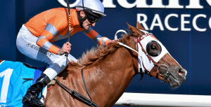 burning front caulfield Burning Front wins at Caulfield