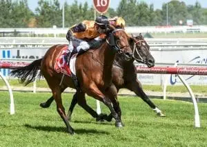 sp57383 Legless Veuve back to sprint distance