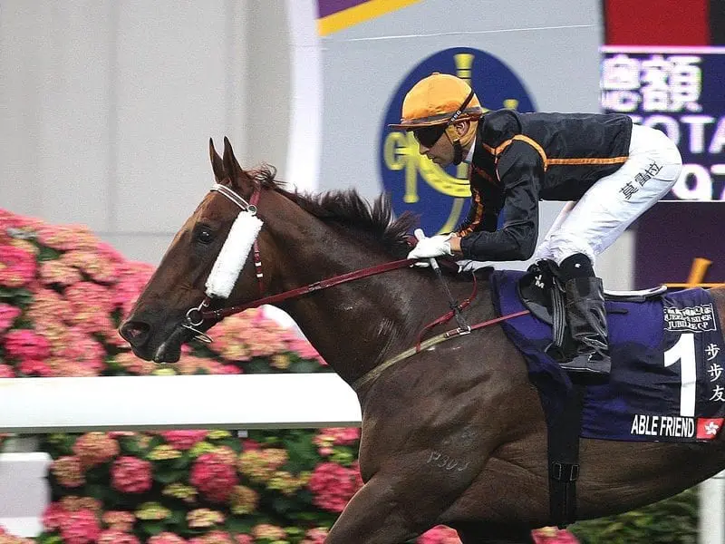 Hong Kong champion Able Friend will not race again and will spend his retirement in Australia. Able Friend