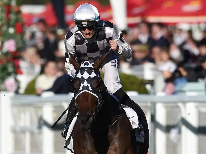 Miss Cover Girl is set to finish her career with a win in the Glenlogan Park Stud Stakes. Jockey Damian Browne rides Miss Cover Girl