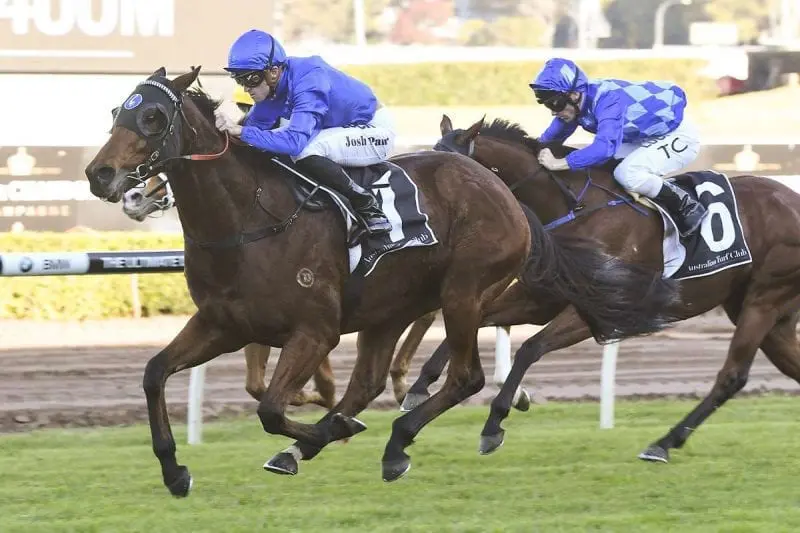 Allergic Allergic wins at Randwick
