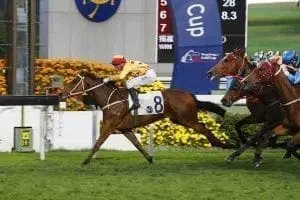 gold mount sha tin Gold Mount wins at Sha Tin