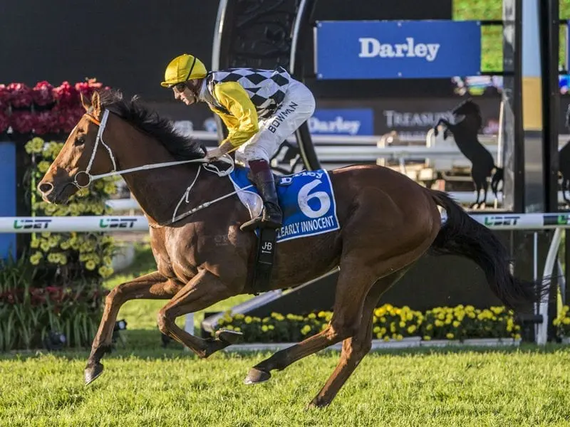 Clearly Innocent is an easing Stradbroke Handicap favourite after drawing an outside barrier. Clearly Innocent during the Darley Kingsford Smith Cup Day