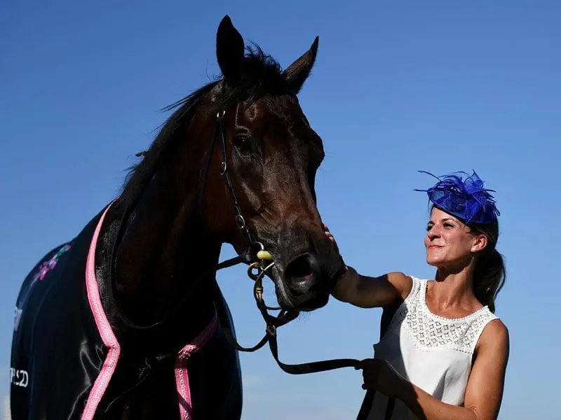 Trainer Tony McEvoy is still coming to terms with Hey Doc's defeat in the Goodwood. A strapper kisses Hey Doc after winning the Australian Guineas