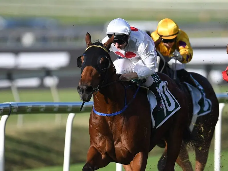 Deploy's Group Two Moreton Cup win at Doomben has earned him an extended winter carnival campaign. Jockey Tim Clark rides Deploy