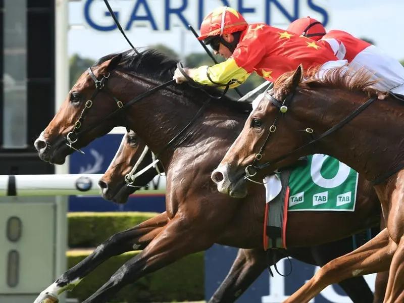 Colt Silence has benefited from a smart ride from Glyn Schofield to win at Rosehill. Glyn Schofield riding Silence